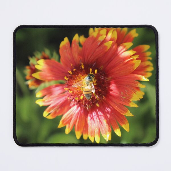 Item preview, Bee on Flower designed and sold by matthewsimon1.