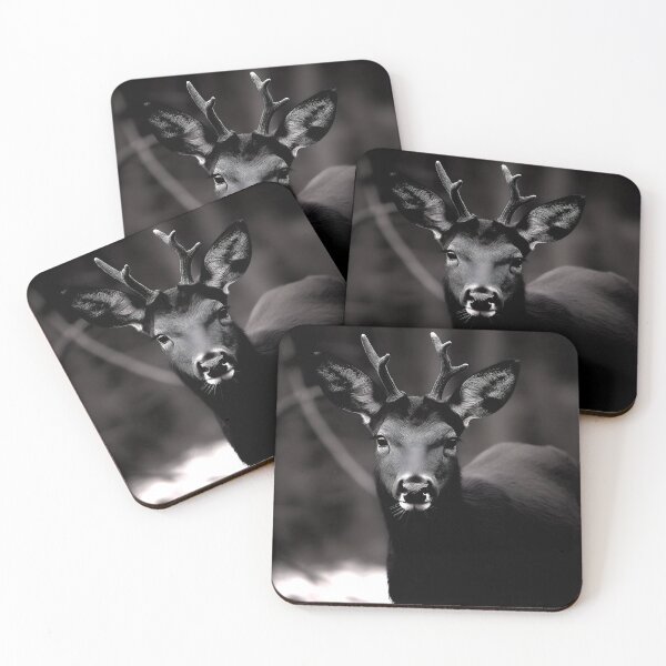 Item preview, Black Deer designed and sold by ArtbyJustis.