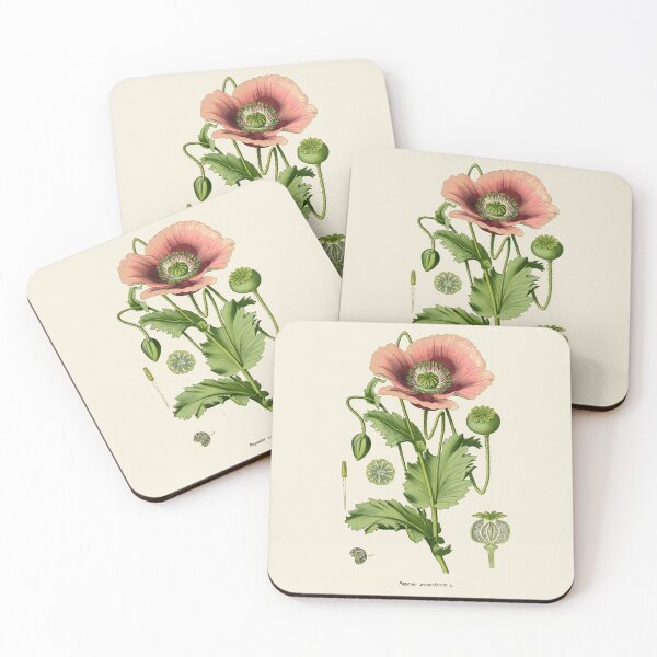 Item preview, Poppy Botanical Illustration designed and sold by FLIP-original.