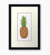 Sweet Pineapple Fruit Fun Framed Print
