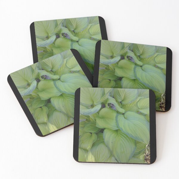 Item preview, Hosta designed and sold by Artwork333.