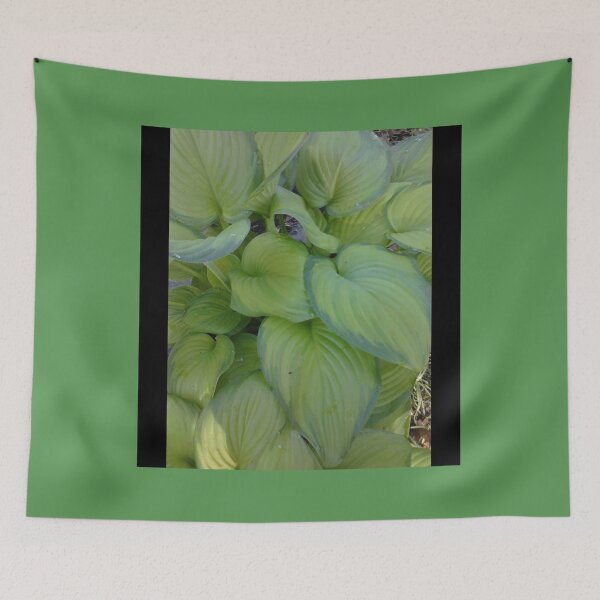 Item preview, Hosta designed and sold by Artwork333.