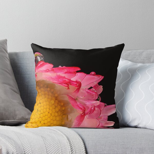 Item preview, Pink Daisy with Dew Drops – Extreme Macro Botanical Photography designed and sold by Goiko7Margarita.