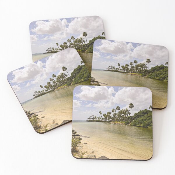 Item preview, Palm tree beach designed and sold by J+J Photography.