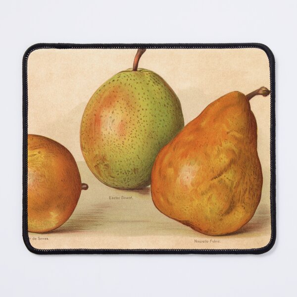 Item preview, Garden Fruits Series – Pears designed and sold by Bruiserstang.