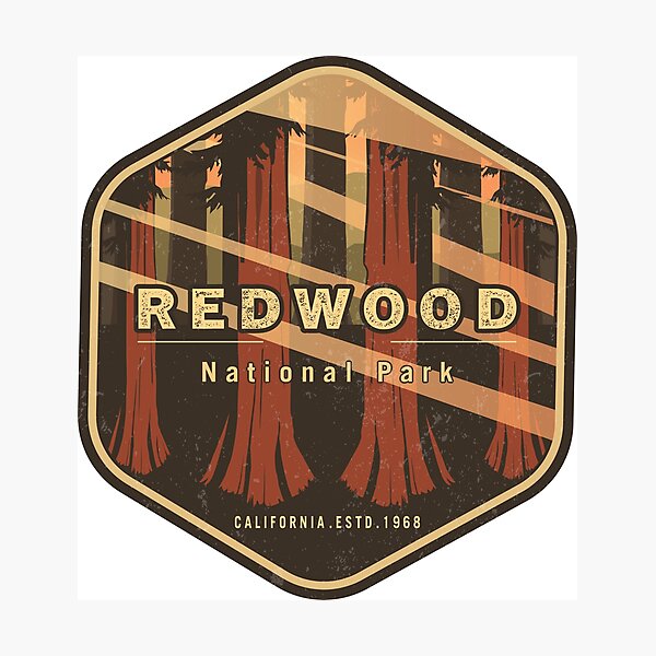 Item preview, Redwood National Park – Vintage California Forest Design designed and sold by Vale150.