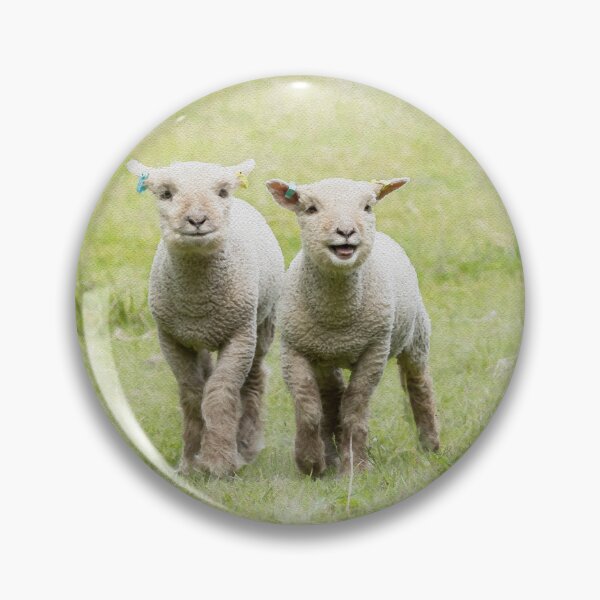 Item preview, Southdown Sheep Watercolour Photograph designed and sold by Jane Stanley Photography.