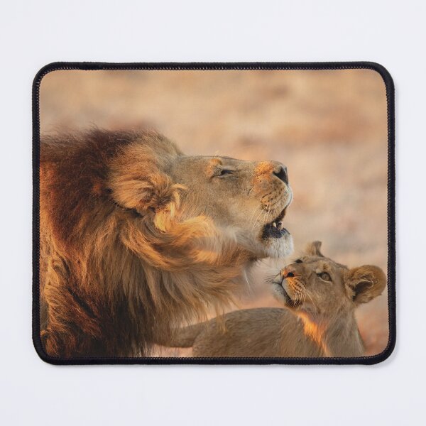 Item preview, A Lion and His Cub In Botswana designed and sold by Kay Brewer.