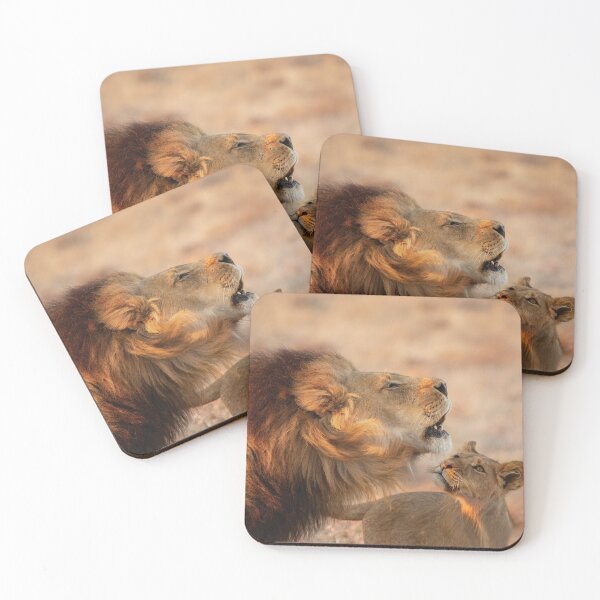 Item preview, A Lion and His Cub In Botswana designed and sold by Kay Brewer.