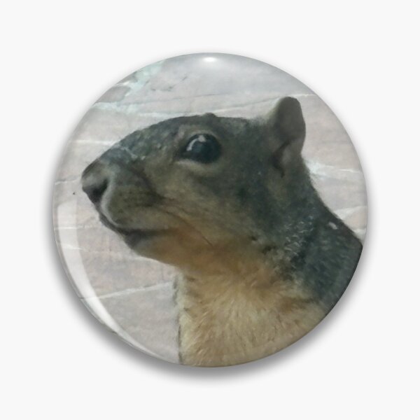 Item preview, Squirrel! designed and sold by Bri-1.
