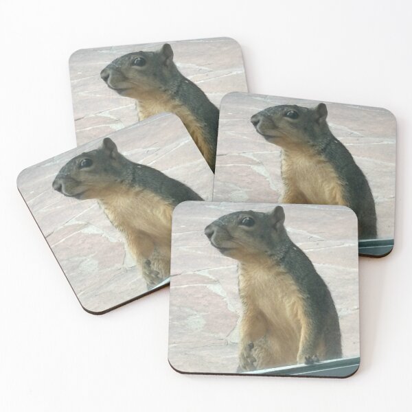 Item preview, Squirrel! designed and sold by Bri-1.