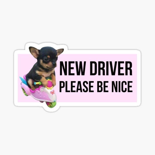 Item preview, New Driver Please Be Nice designed and sold by Spring Things.
