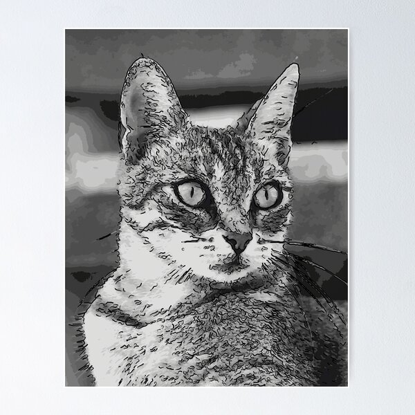 Item preview, Cat designed and sold by RenataPhoto.