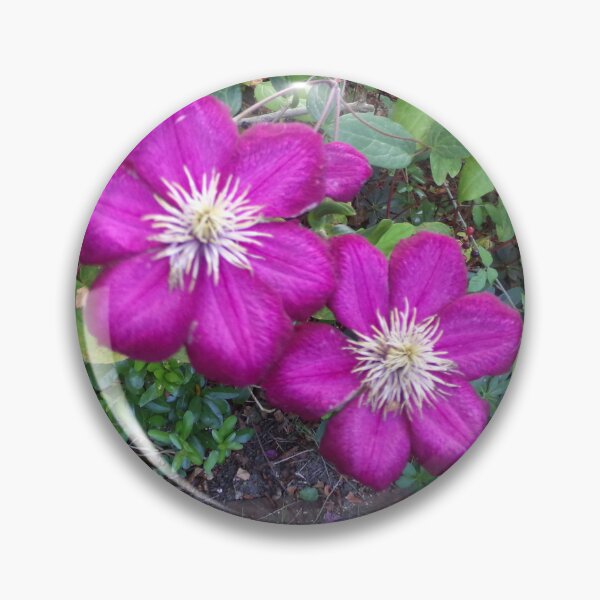 Item preview, Purple Clematis designed and sold by GooglyEyes-.