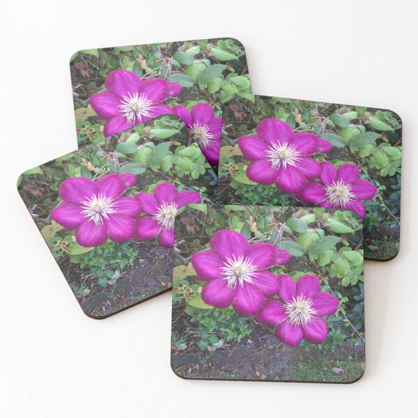 Item preview, Purple Clematis designed and sold by GooglyEyes-.