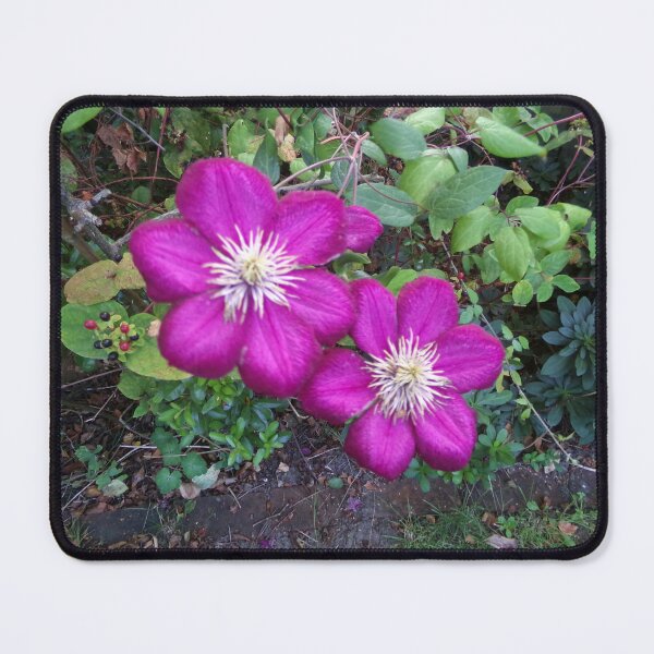 Item preview, Purple Clematis designed and sold by GooglyEyes-.