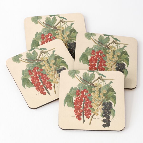 Item preview, Currants from Vintage Antique Fruit Print Series designed and sold by Bruiserstang.