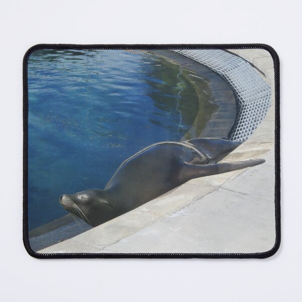 Item preview, Sea Lion designed and sold by GooglyEyes-.