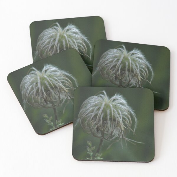 Item preview, Fluffy Clematis designed and sold by Photos, and Drawings, and Hybrids!!!!! Oh my!.