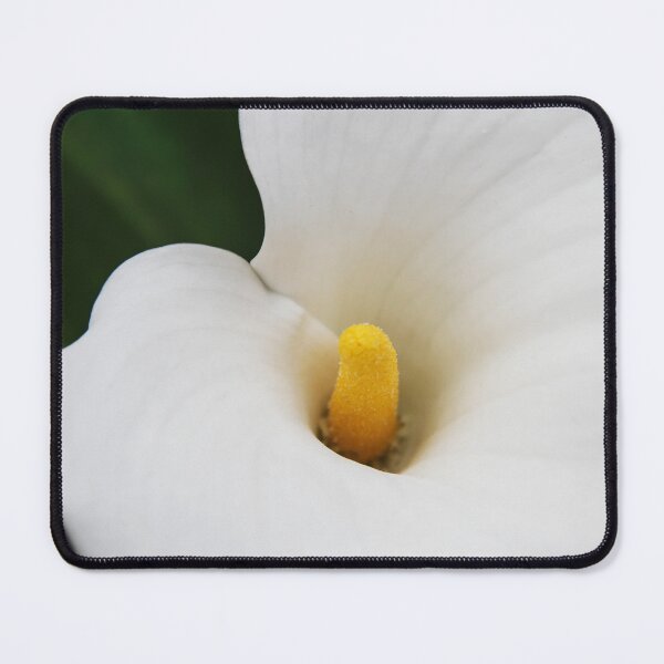 Item preview, Calla Lily Portrait designed and sold by heatherfriedman.