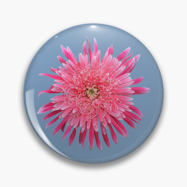 Item preview, Pink Gerbera on Light Blue designed and sold by STHogan2.