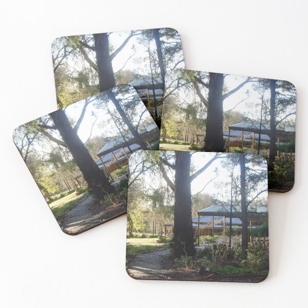Item preview, Morning Sunlight Light at Magpie Springs designed and sold by MagpieSprings.