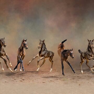 Artwork thumbnail, Eight Dancing foals, baby horses by PTPhotoLLC