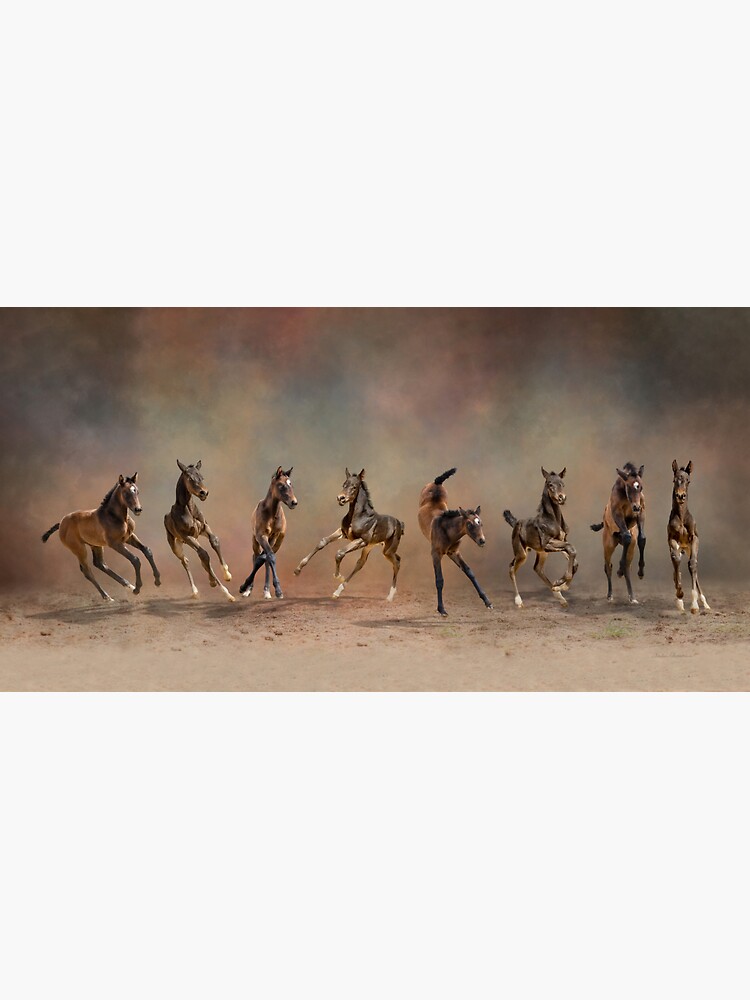 Thumbnail 3 of 3, Sticker, Eight Dancing foals, baby horses designed and sold by PTPhotoLLC.
