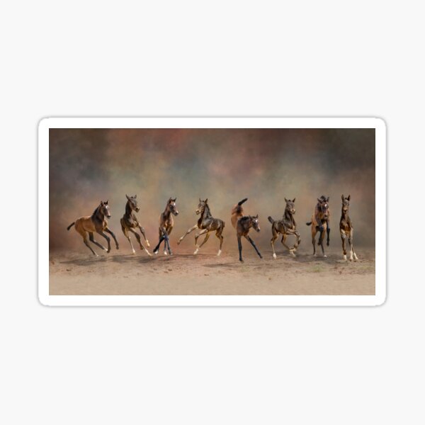 Item preview, Eight Dancing foals, baby horses designed and sold by PTPhotoLLC.