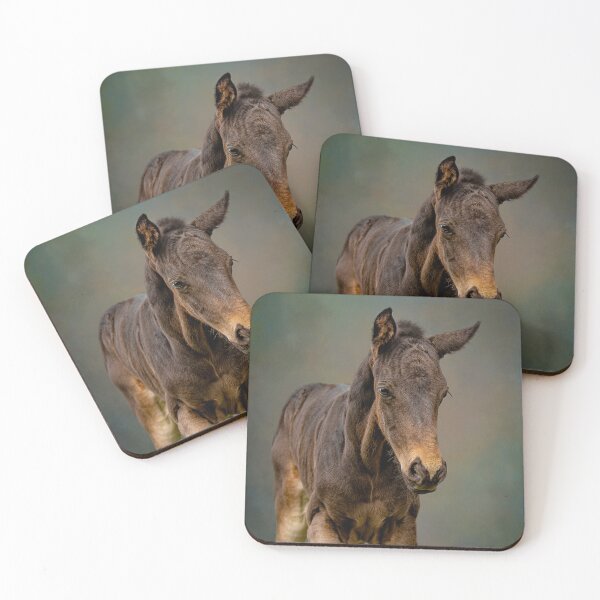 Item preview, foal, baby horse, colt head designed and sold by PTPhotoLLC.