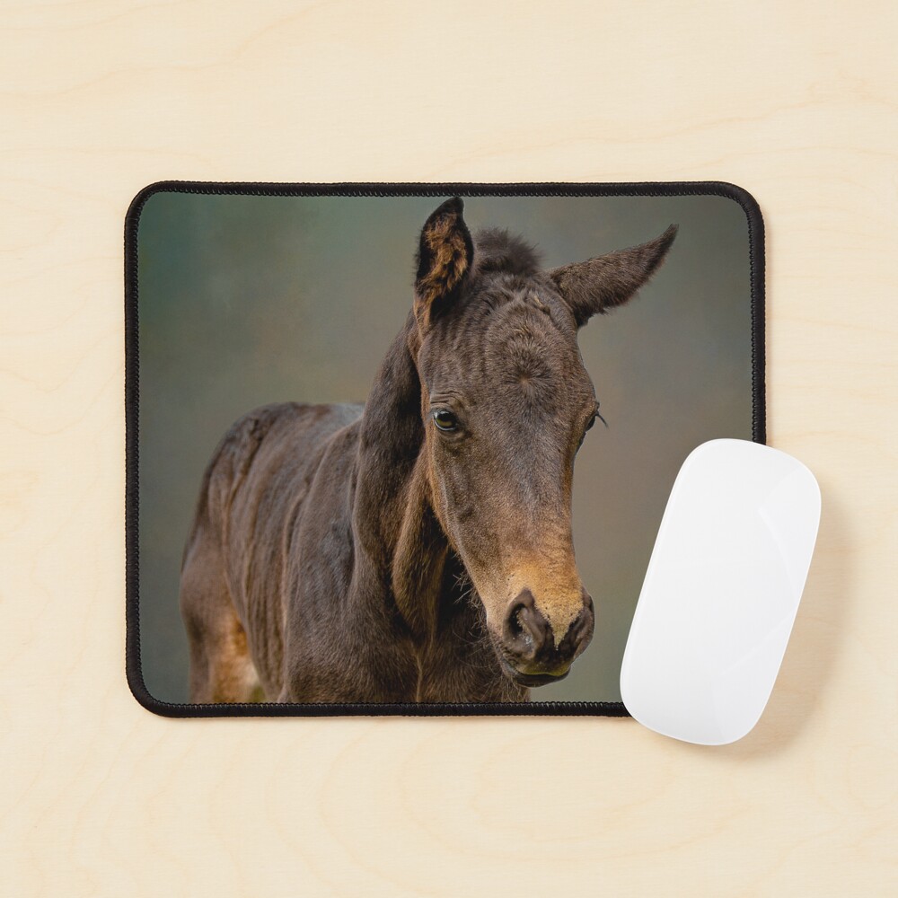 Item preview, Mouse Pad designed and sold by PTPhotoLLC.