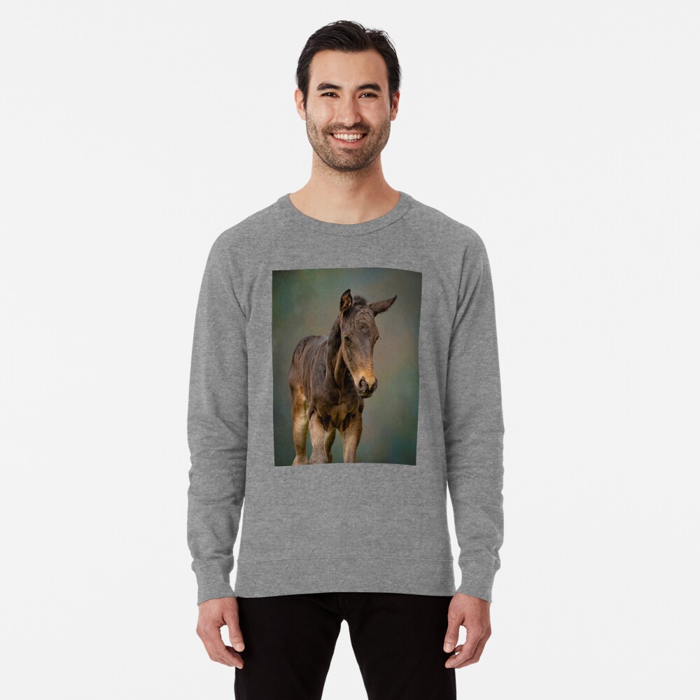 Item preview, Lightweight Sweatshirt designed and sold by PTPhotoLLC.