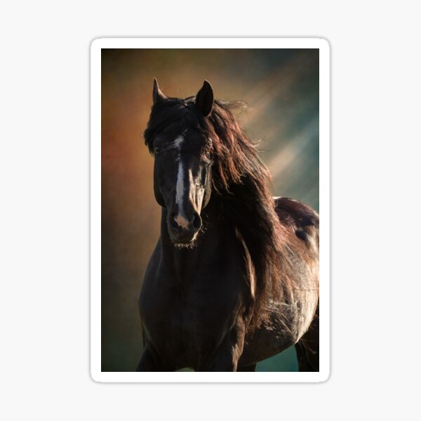 Item preview, Andalusian stallion fine art background designed and sold by PTPhotoLLC.