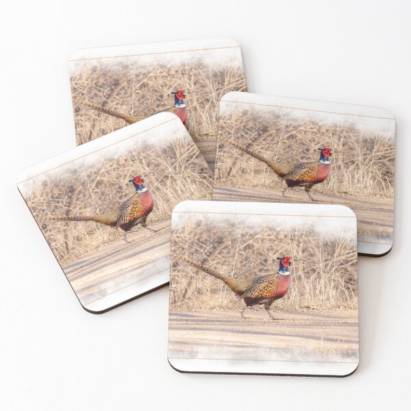Item preview, Pretty male Pheasant bird designed and sold by PTPhotoLLC.