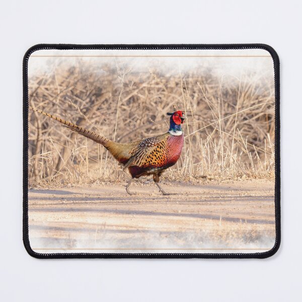 Item preview, Pretty male Pheasant bird designed and sold by PTPhotoLLC.