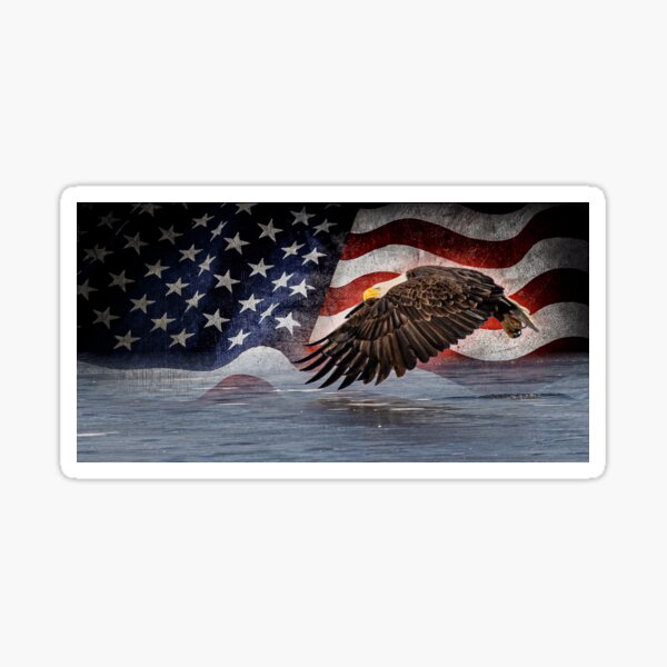 bald eagle with American flag Sticker