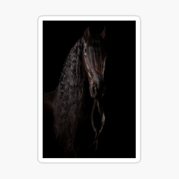 Item preview, Black Friesian horse, quine  designed and sold by PTPhotoLLC.