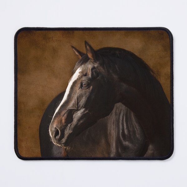 Item preview, Fine Art Warmblood Stallion, horse designed and sold by PTPhotoLLC.