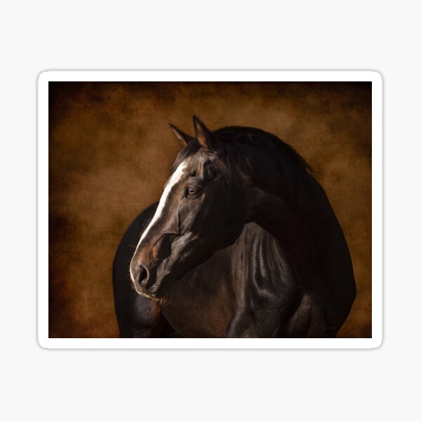 Item preview, Fine Art Warmblood Stallion, horse designed and sold by PTPhotoLLC.