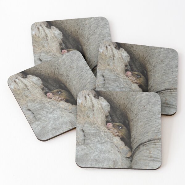 Item preview, Hello Possum! designed and sold by Kymbo.