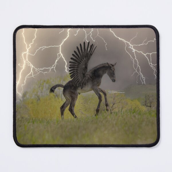 Item preview, black pegasus foal winged horse lightning designed and sold by PTPhotoLLC.