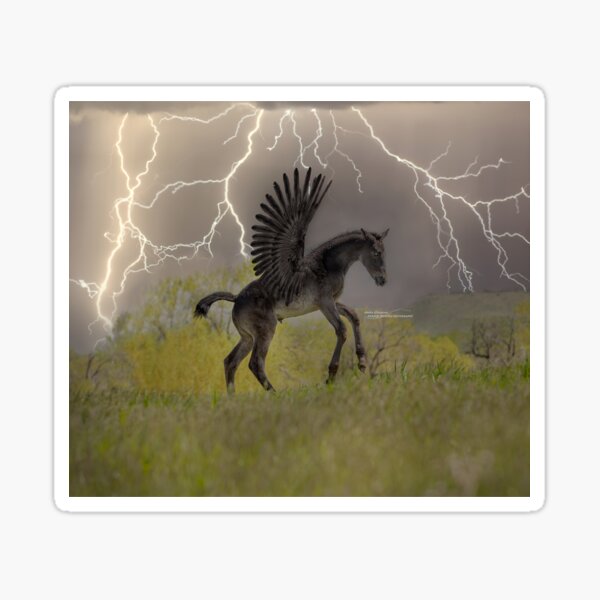 black pegasus foal winged horse lightning Sticker