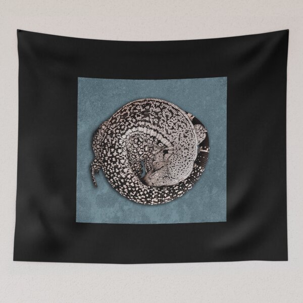 Item preview, Blue Tegu lizard rolled in a ball designed and sold by PTPhotoLLC.