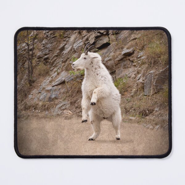 Item preview, Mountain Goat from Spearfish Canyon designed and sold by PTPhotoLLC.