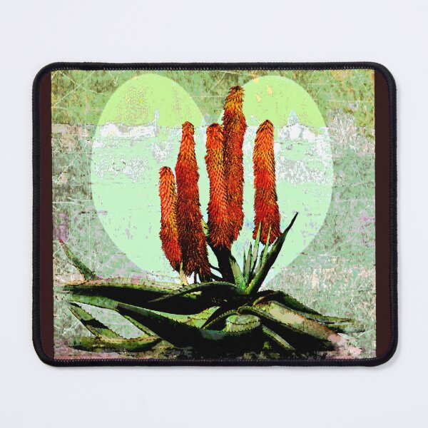 Item preview, Flowering Aloe Ferox designed and sold by CarolM.