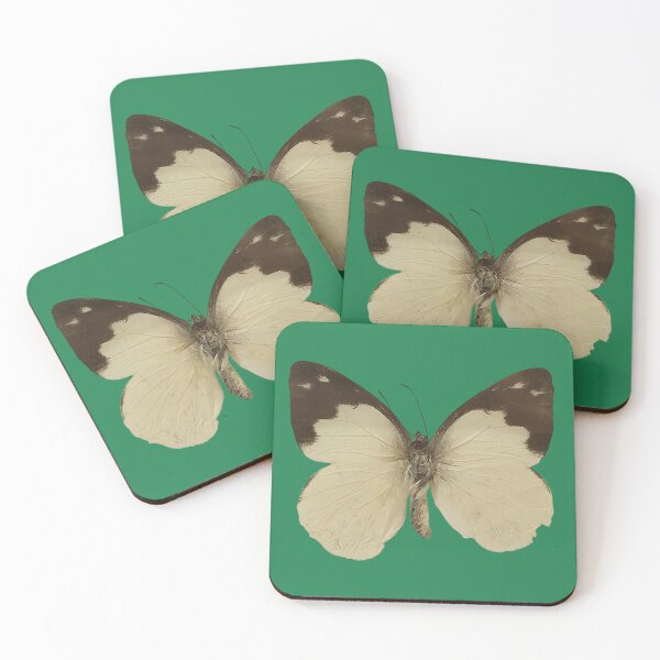 Item preview, Plain Puffin Appias Indra Butterfly Sticker designed and sold by Linklandiya.