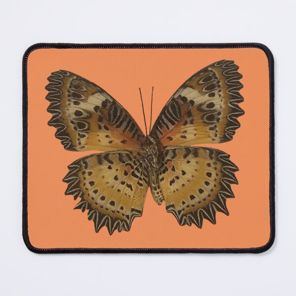 Item preview, Leopard Lacewing Cethosia Cyane Butterfly Sticker designed and sold by Linklandiya.