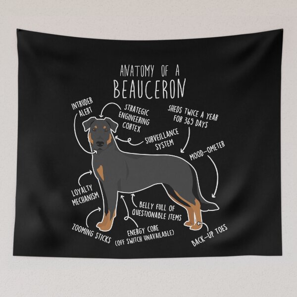 Item preview, Beauceron Dog Anatomy designed and sold by Clara Hollins.