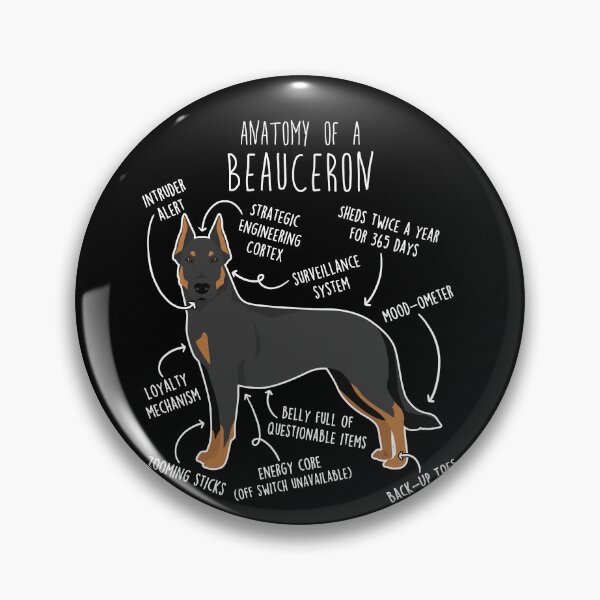 Item preview, Beauceron Cropped Dog Anatomy designed and sold by Clara Hollins.