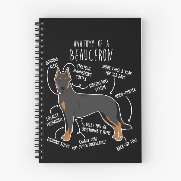 Item preview, Beauceron Cropped Dog Anatomy designed and sold by Clara Hollins.